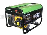 LPG/CNG Generator