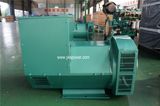 Jiangsu Youkai 220kw Yuchai Alternator with High Quality