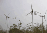 Wind Turbine Generator (FD-5000W)