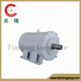 Ff-15kw/180rpm/AC380V Permanent Magnet Generator (PMG/PMA/Hydro)