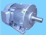 8kw-375rpm-50Hz Permanent Magnet Wind Generator