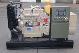 Diesel Generator