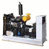 30KVA Diesel Electric Generator (DG-30)