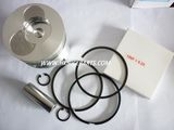 Diesel Engine Parts - 186f Piston Kit