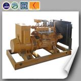 Lvhuan Small Power 60kw Biogas Generator Set