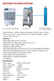 Portable Oxygen Filling System