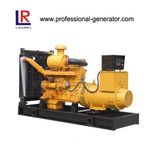 200kw/250kVA CE, ISO Approved Electric Generators