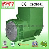 Best Price Three Phase Magnetic Generator Alternator