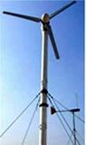 2000W Wind Generator (ldw2000w)