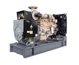 Cummins Diesel Generator (DCW)