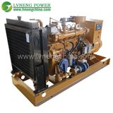 Lvneng Newest Natural Gas Generator with Cummins Engine