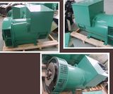 Self-Excitation AC Brushless 250kVA Wuxi Factory Alternator