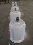 1~36kw Vertical Wind Turbine Alternator/Generator