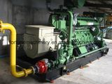 Hot Selling Bio-Gas Generator Set 260kw