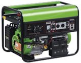 Factory Supply 3kw Biogas Generator