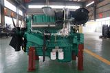 Jiangsu Youkai 250kw Yuchai Alternator with High Quality