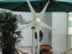 600W Horizontal Wind Turbine Generator (100W-20KW)