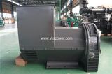 Jiangsu Youkai 200kw Shangchai Alternator with High Quality