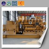 Biogas Fuel Cheap Gas Generator