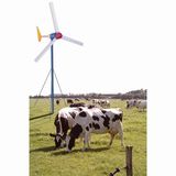 300w Wind Generator