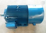 1200kw 250rpm Permanent Magnet Generator for Hydro Trubine