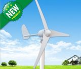 Small Wind Generator 600W 800W 1200W 1600W