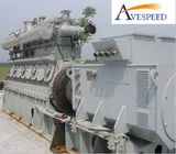 300-500kw Biomass Gasification Generator Set