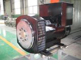 250kVA Three Phase Brushless Alternator (JDG314C)