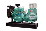 Diesel Electric Generator with Wuxi Stamford Alternator