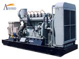 160kw Flexible Maintenance Plan Natural Gas Generator Set