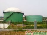 Biogas Power Plant