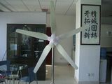 Wind Turbine 300w