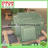 Y Series Housing Three Phase Electric Motors AC Motor