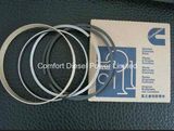 Cummins Nta855 Engine Piston Ring Set 3801755