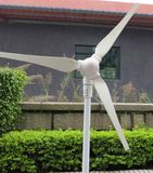 Residential Wind Power Generator 3blade 400W Wind Power Generator Price