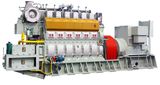 1000kw (1MW) /400V Hfo/Diesel Generator Set Power Plant