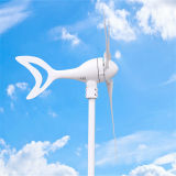 300W Dolphin Wind Driven Generator Turbine High Quality Low Price