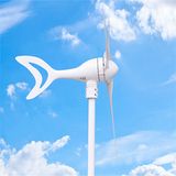 300W Dolphin Wind Driven Generator Turbine High Quality Low Price