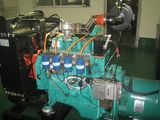 Biogas Generator Set with High Quality