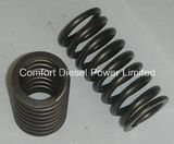 Cummins Engine Valve Spring 211999