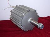 500W Wind Permanent Mangent Generator