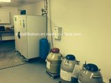 Ln60 60liters Automatic Liquid Nitrogen Generator Price