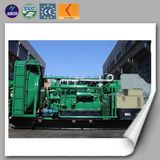 China Manufacture 100-600 Kw Biomass Generator with CE ISO Approved