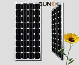 95w Monocrystalline Solar Module SNM-M95(36)