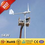 Wind Turbine / Wind Power Generator (5000W)