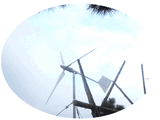 2kw-48v Wind Turbine (CE Certificated) 