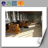 40kw Biogas Generator Set for Sale China Manufacturer