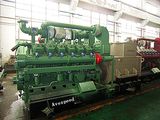 Experienced 500kw Biogas Generator Set (500GJZ1-PWT-ESM3)