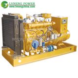 China Supplier Natural Gas Generator with Domestic Brand