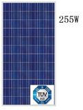 255W Polycrystalline Solar Module (JHM255P-72)